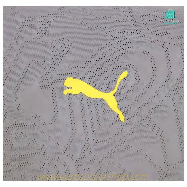 2024-2025 Racing Lens Training Shirt (Cast Iron)