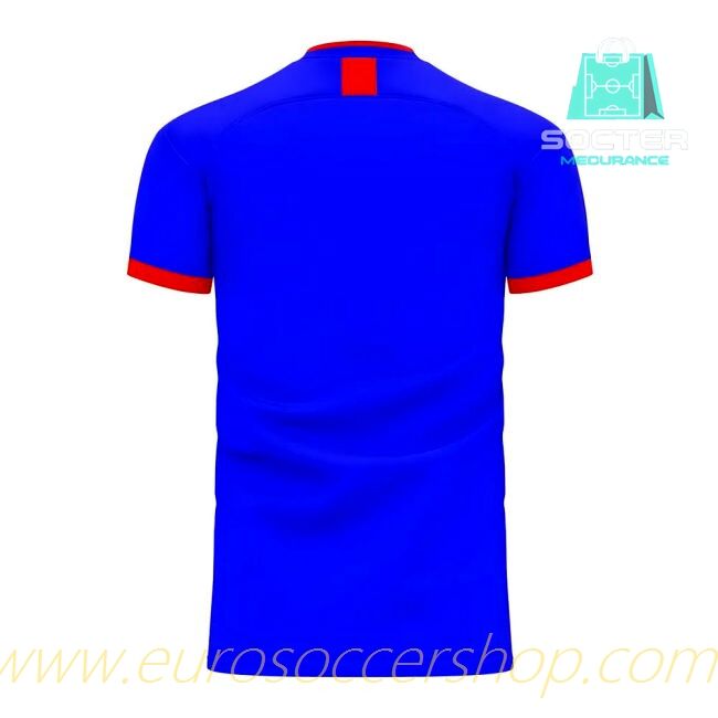 2025-26 Edition Japan Genuine Home Football Shirt Libero Collection