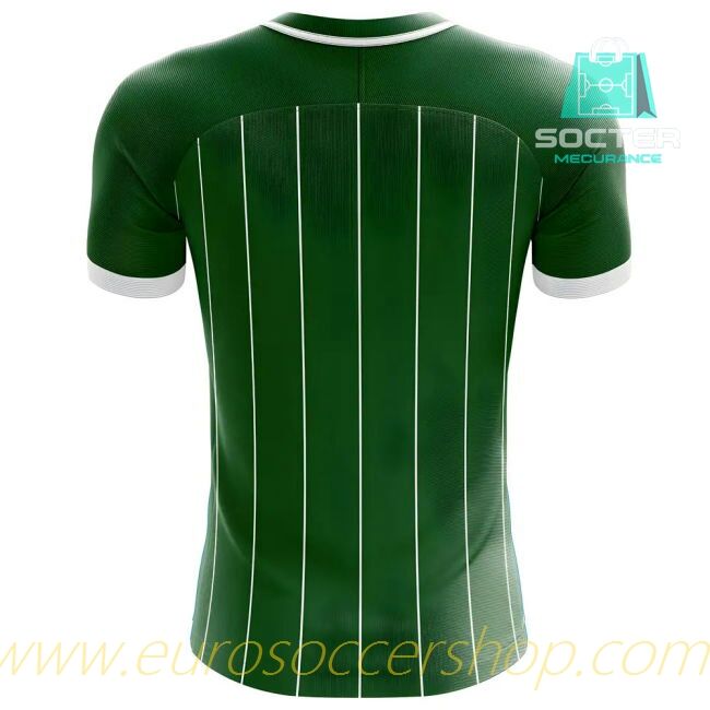 2025/26 Campaign Northern Ireland Home Football Shirt International Women's Version