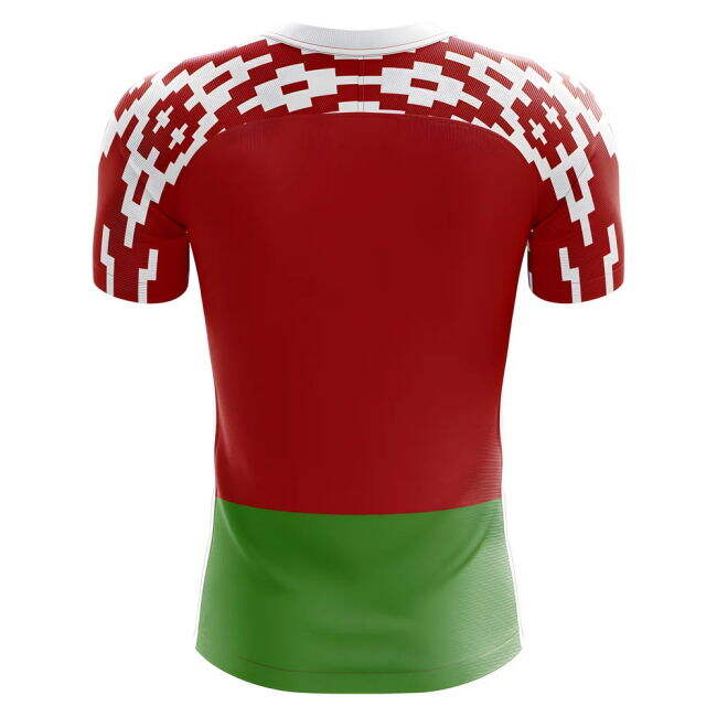 Belarus Fashionable Home Jersey 2025-2026