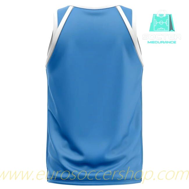 Fan Edition Argentine National Team Home Football Shirt Ladies' Edition