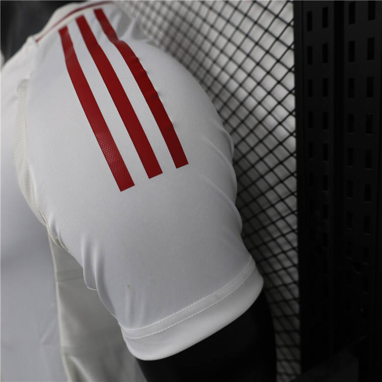 Professional Elite Durable Authentic Japan 2024 Away Match Shirt