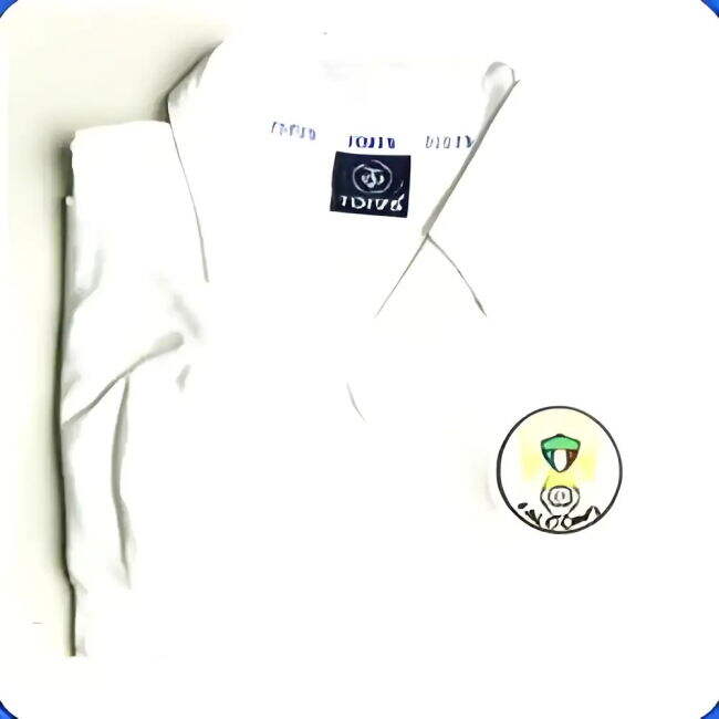 Passionate Football Club Falcons #1970 Match Quality Updated Design...