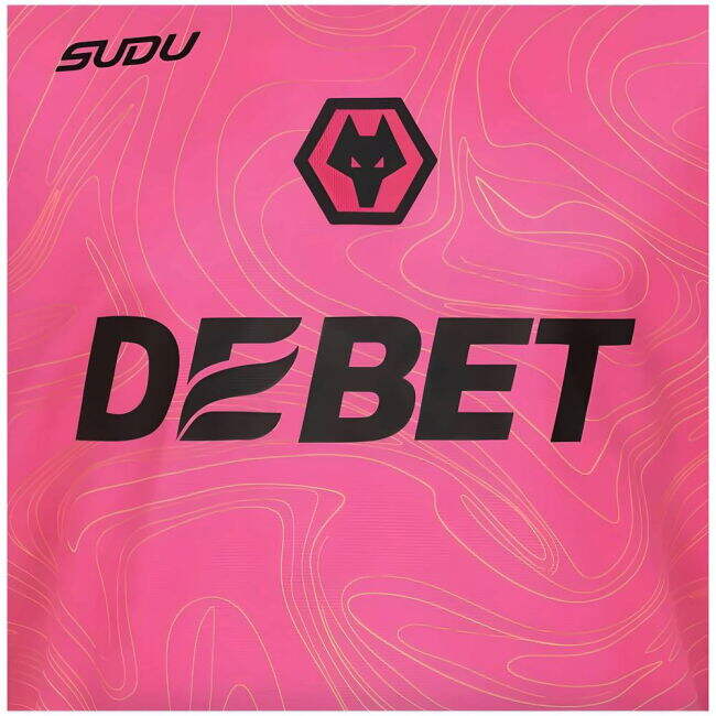 2024-2025 Wolves Goalkeeper Shirt (Pink) (Fan Favorite)