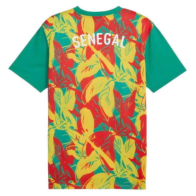 2025 Edition Senegal Home Match Shirt 2024-2025