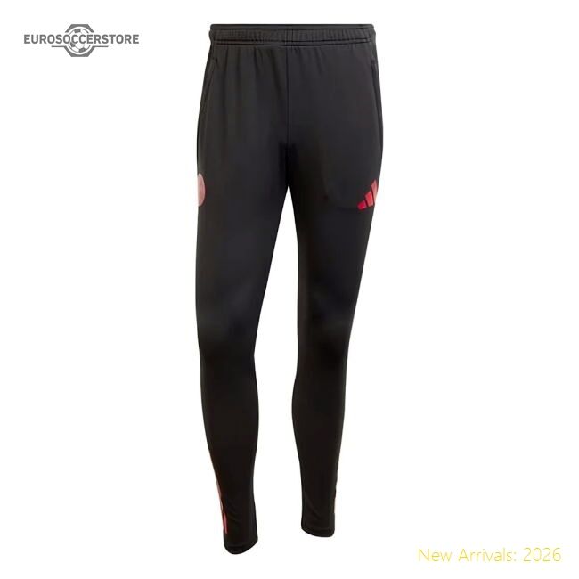 First-class 2025-2026 Bayern Munich Eu Training Pants (black)