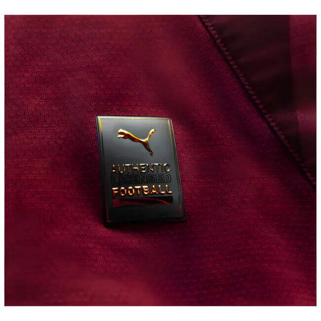 Licensed 2024-2025 Man City English Third Strip (1)