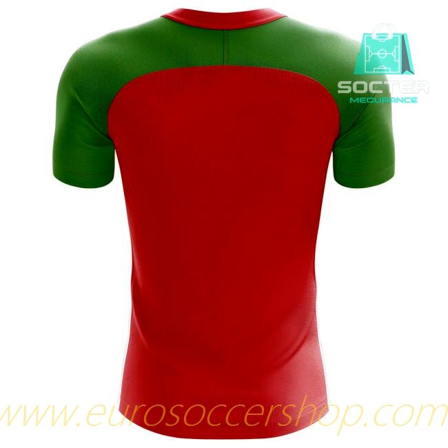 2025-26 Collection World Cup Moldova Home Concept Edition