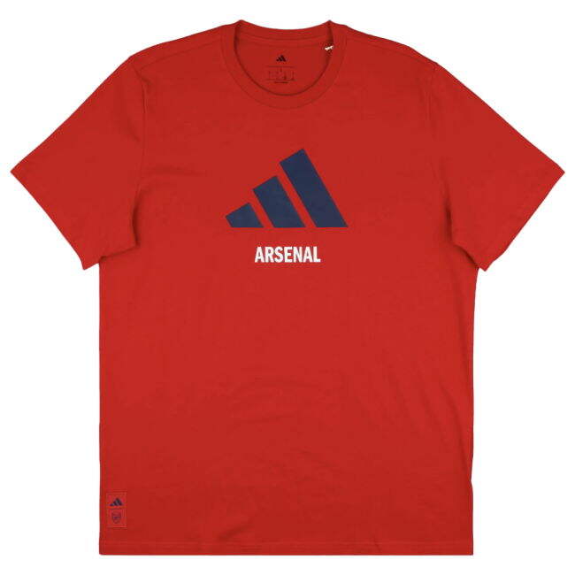 Adult Arsenal Jersey 2025-2026 #30