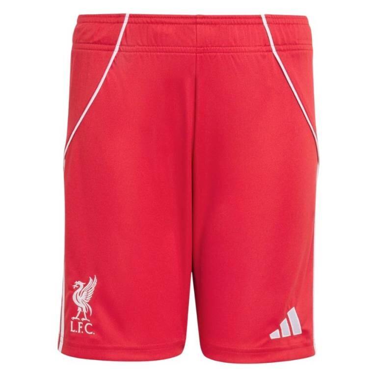 Liverpool Home Football Shirt Youth Team Jersey 2025/26 Collection Wirtz