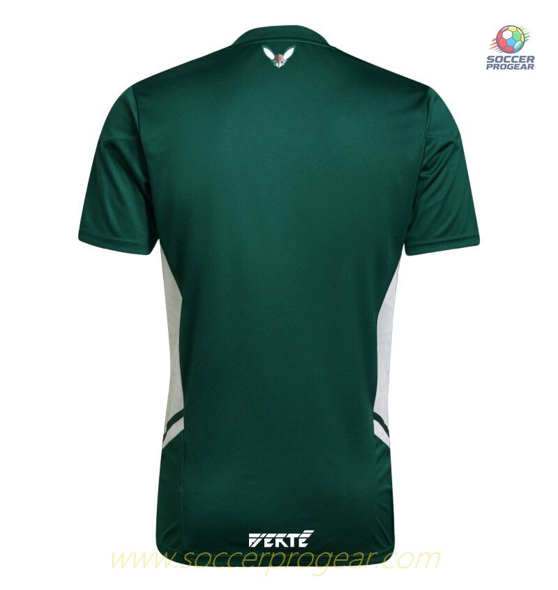 Algeria Palestine Team Jersey 2023 Green