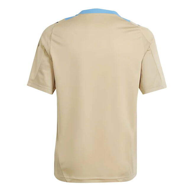 2024-2025 Argentina Training Jersey (Hazy Beige) - Kids