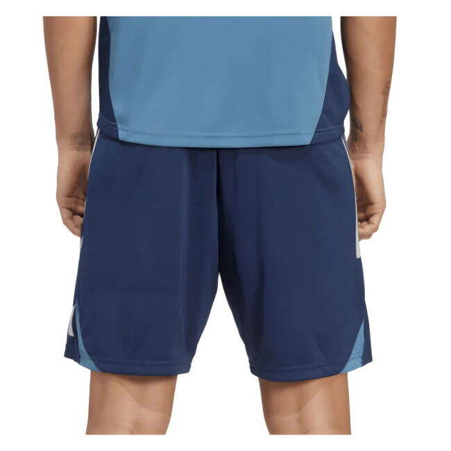 Shorts for Arsenal Training 2025-2026 (Adult