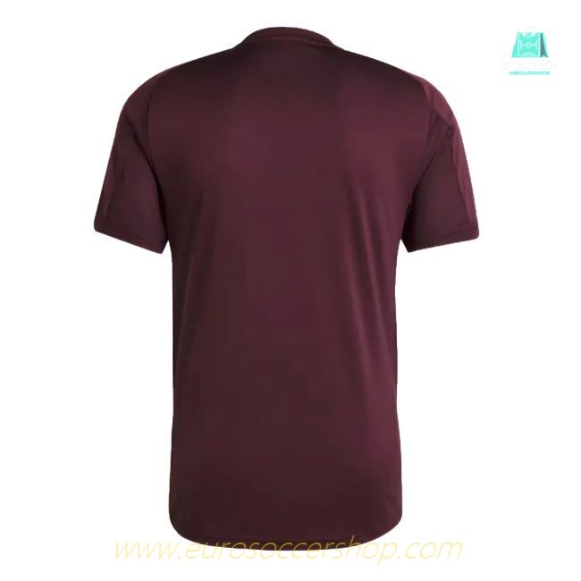 2024-2025 Bayern Munich Training Tee (Shadow Maroon)