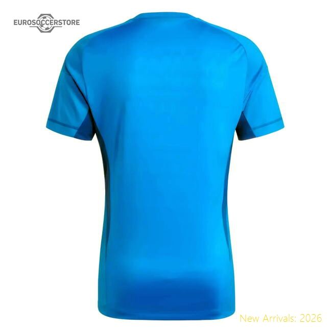 Best-Selling 2023-2024 Juventus Home Goalkeeper Shirt (Blue)