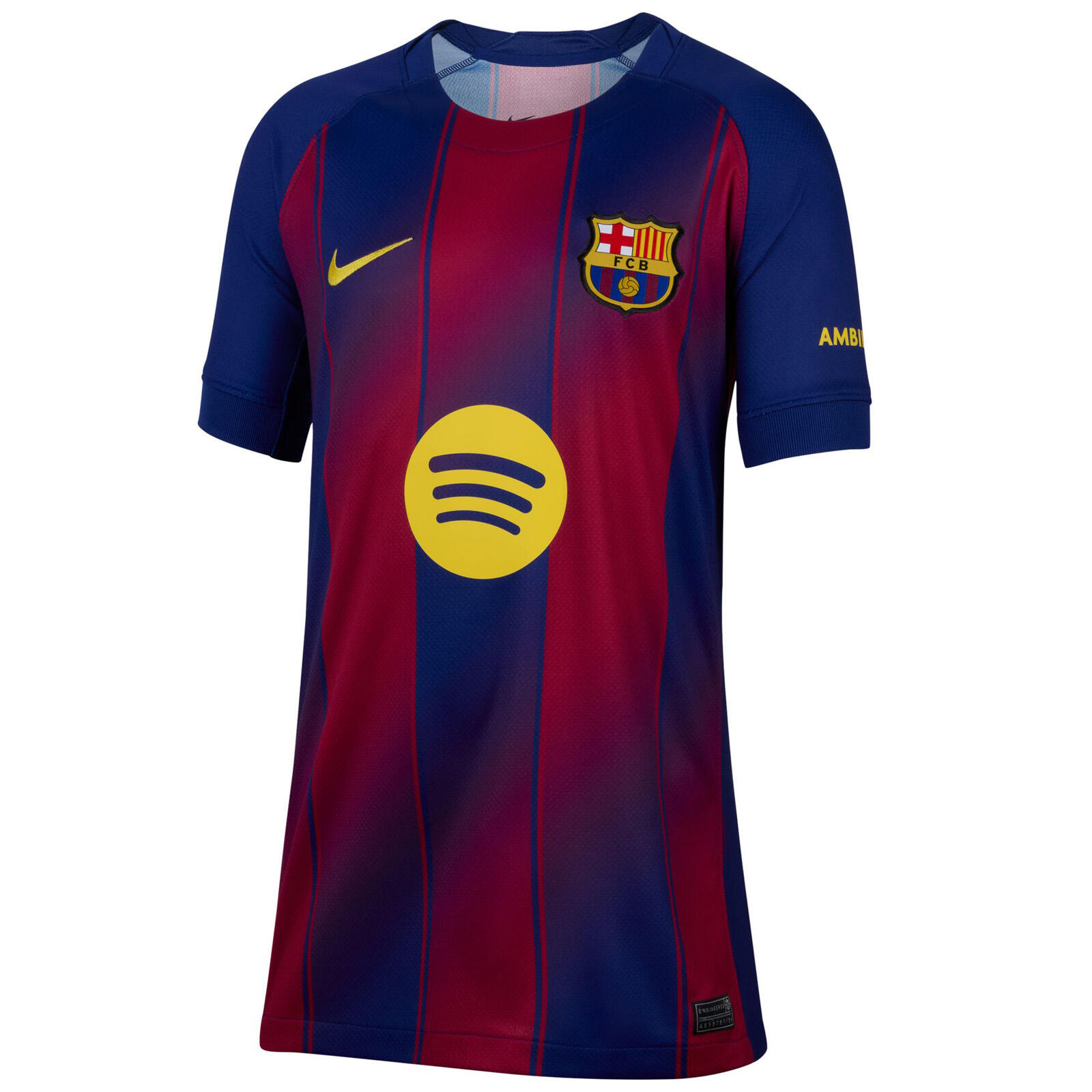 Authentic Barcelona Home Jersey - Nike official Collection for