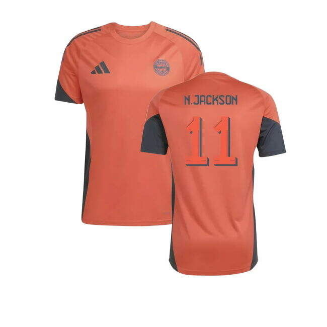 Bayern Munich Training official style Shirt 2025-2026 (Adult