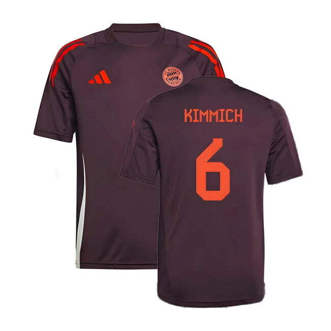 2024-2025 Bayern Training Shirt (Shadow Maroon)
