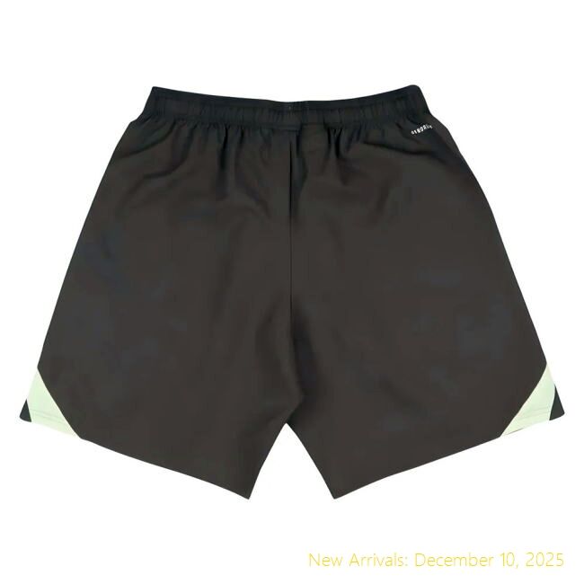 Official 2025-2026 RM Real Madrid Downtime Shorts (Utility Grey)