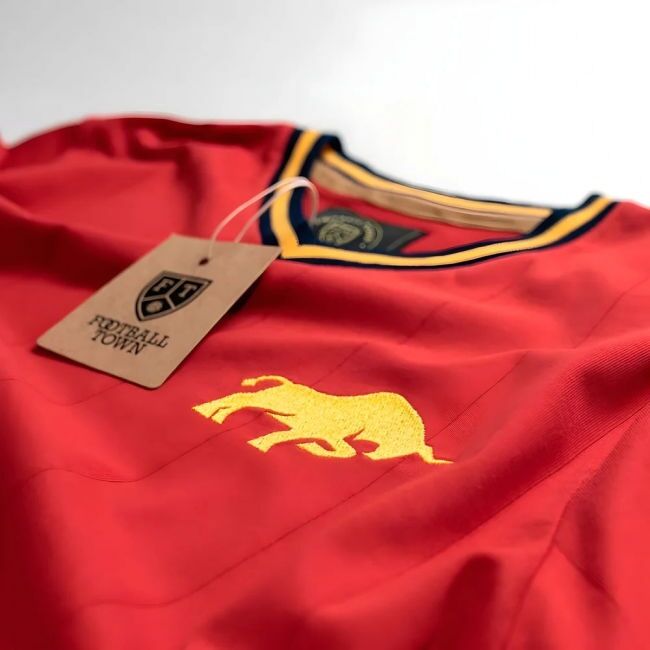 Original Replica Spain Home Fan Shirt for Adults (4)