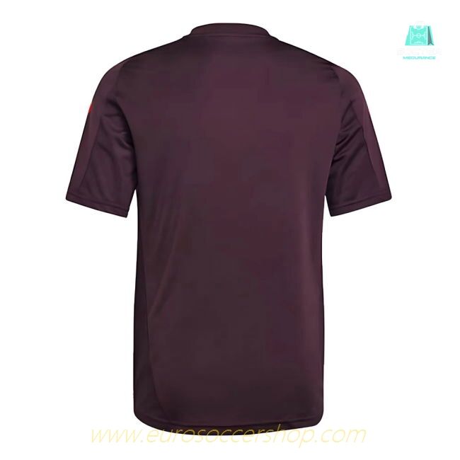 2024-2025 Bayern Munich Training Shirt (Shadow Maroon) - Kids