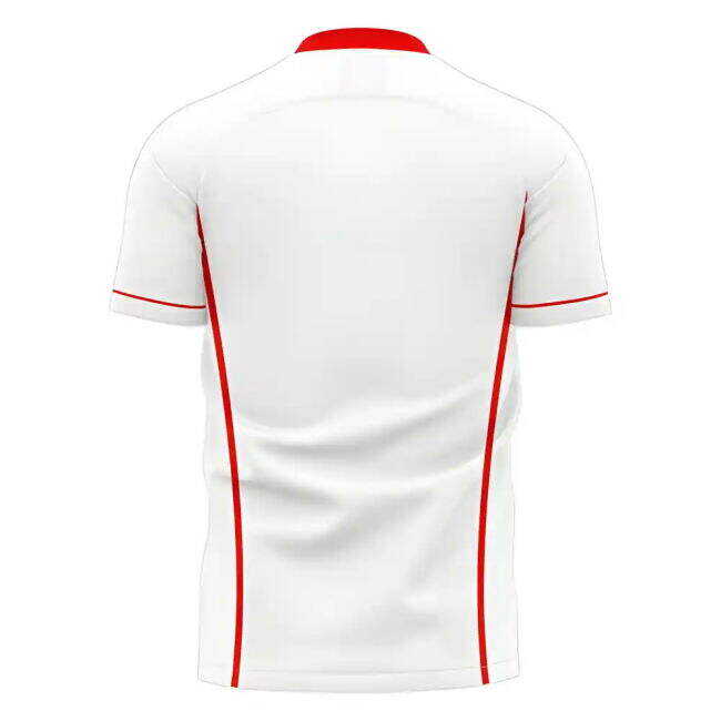 Wholesale North Macedonia 2025-2026 Away Concept Shirt (Libero) Unique