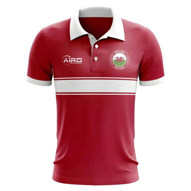 Wales First Team Professional Grade Concept Professional Jersey