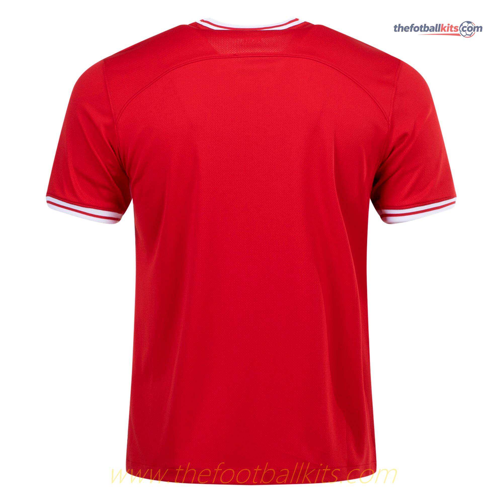 Poland 2022 Qatar World Cup Away Soccer Shirt