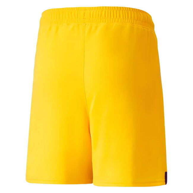 2022-2023 Borussia Dortmund (dortmund) Home - Authentic