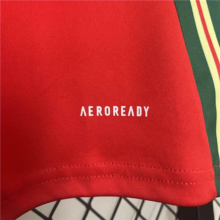 UEFA Euro 2024 Wales Football Shirt Home Soccer Jersey - Official