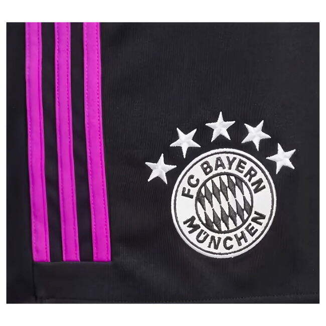 Bayern Munich Official 2023-2024 Away Soccer Jersey - German League