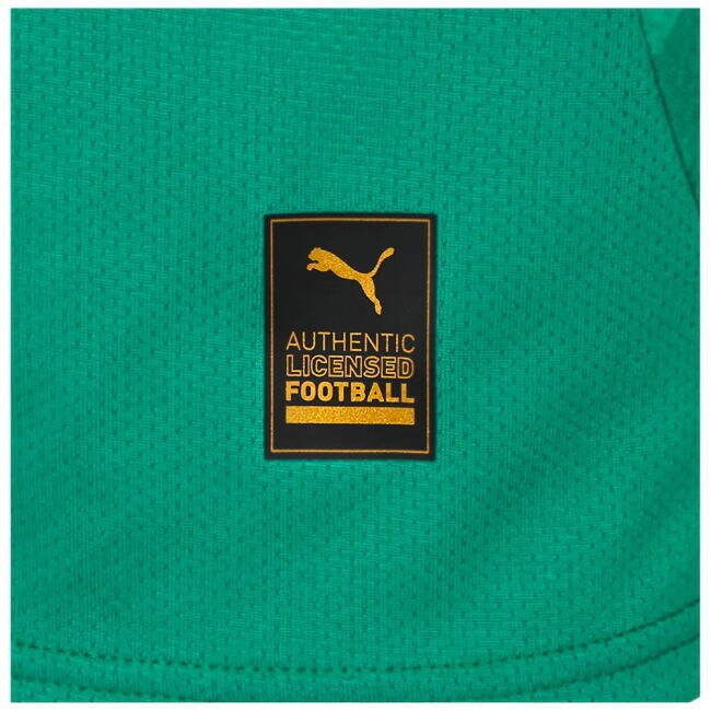 Certified 2024-2025 Plymouth Argyle Home Shirt Stylish Design