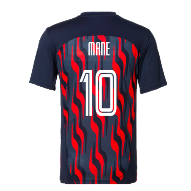 Top Quality Training Jersey Mane 1 #0 2024-2025 Season Fan Favor (v7)