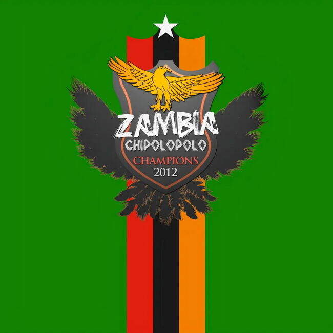 Professional Zambia 2012-2013 Home Strip