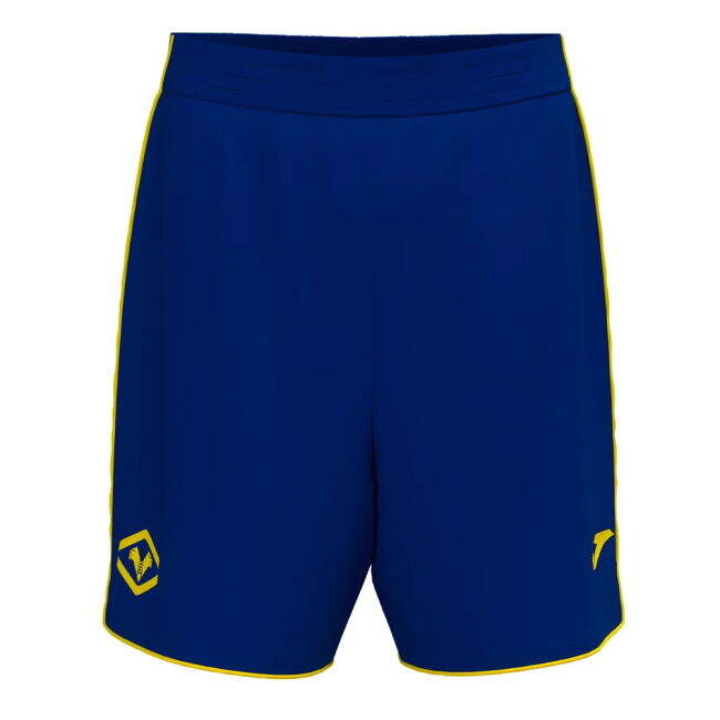 Hellas Verona Performance Home Jersey 2024-2025