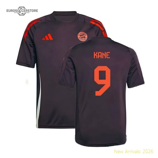 Outstanding 2024-2025 Bayern Munich Training Shirt (shadow Maroon)