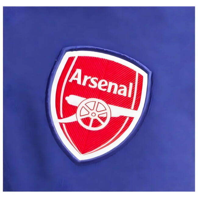 Adult Arsenal Jersey 2024-2025 #13
