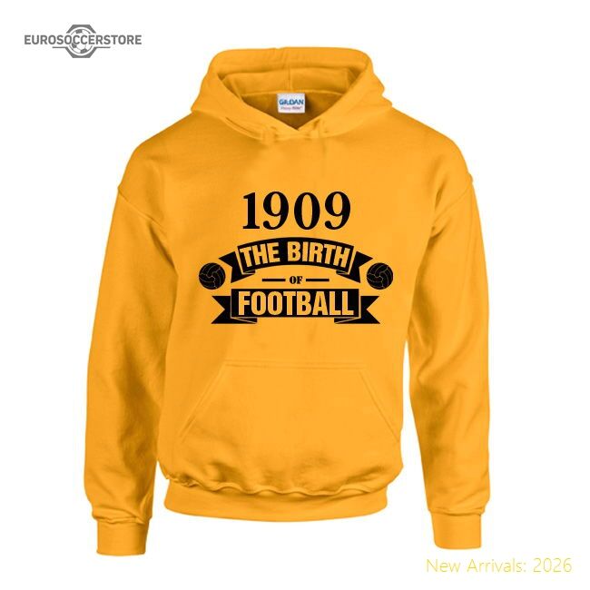Superior Borussia Dortmund Birth Of Football Hoody (yellow)