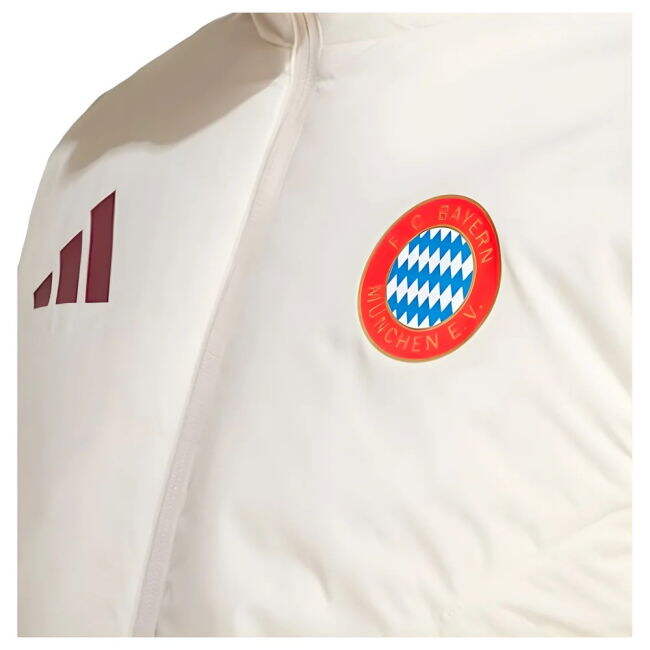 Bayern Munich Modern Jersey 2024-2025 #22