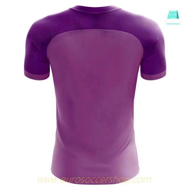 2025-26 Edition La Liga Third Shirt High Quality Concept