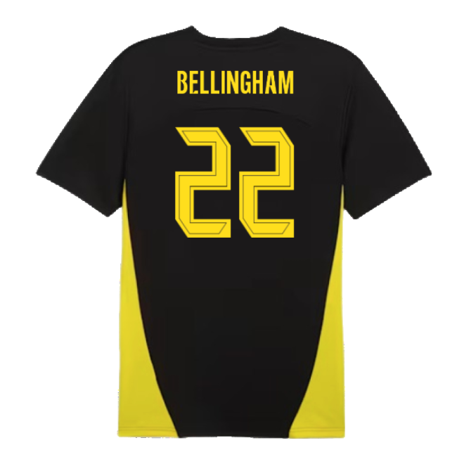 Borussia Dortmund Genuine Jersey 2024-2025