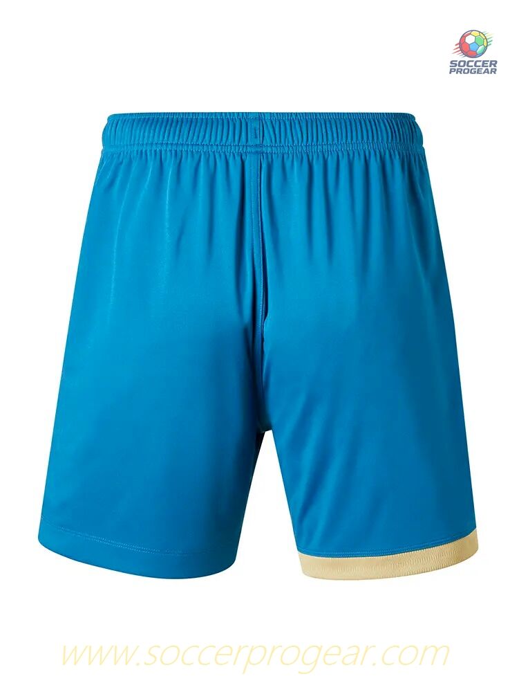 FC PORTO THIRD SHORTS 2023 2024