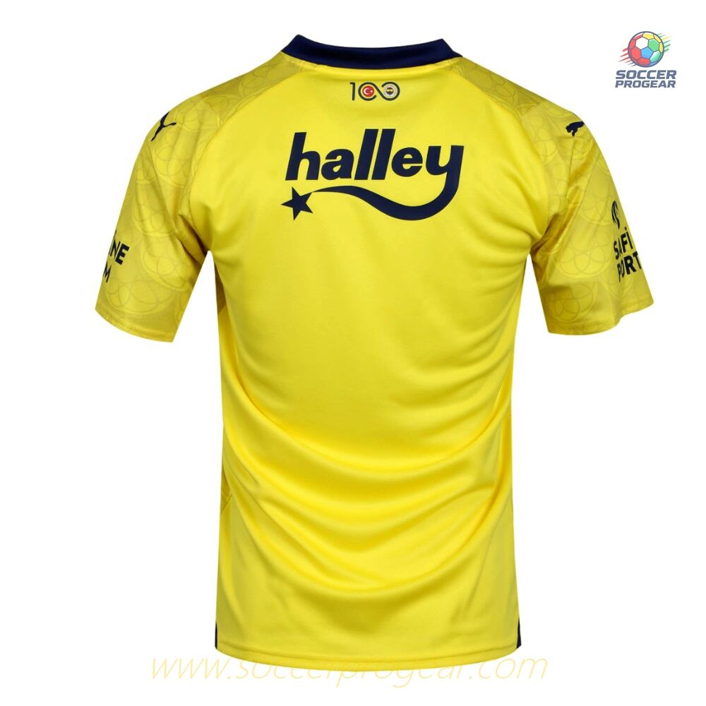 Fenerbahce Away Soccer Team Jersey 2023 2024