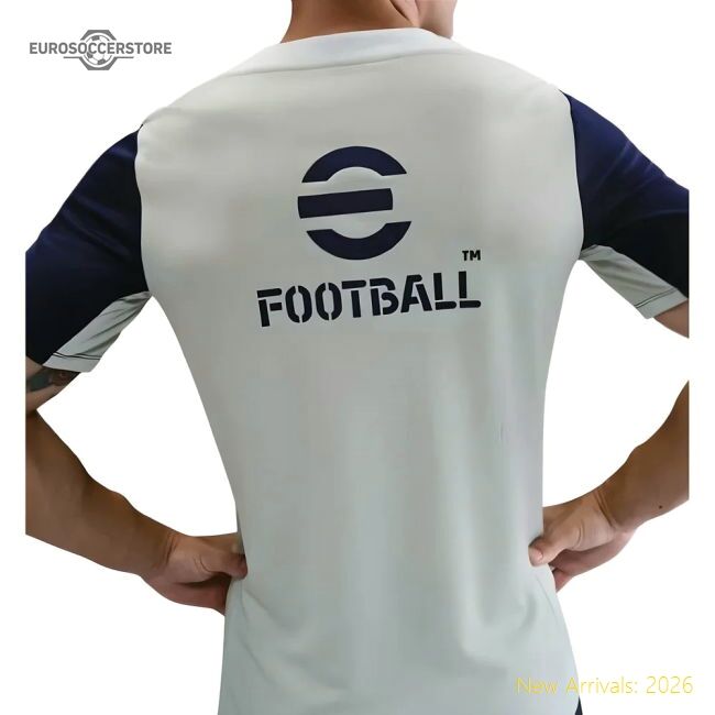 Premium 2025-2026 Inter Milan Training Shirt (grey) - Official Design