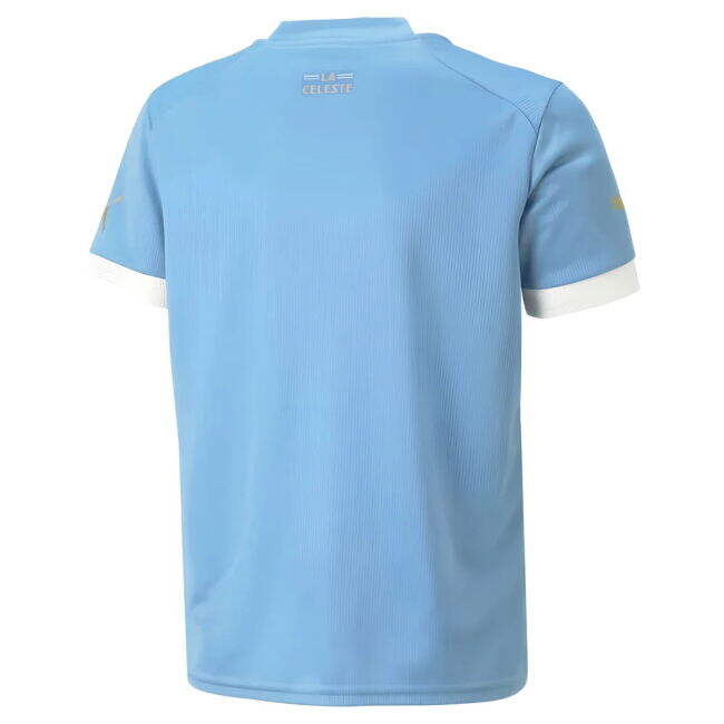 Nunez 11 Uruguay National Team Fan Shirt - Adults Version
