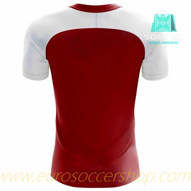 2025/26 Campaign Tonga Home Football Shirt High Quality Libero Collection