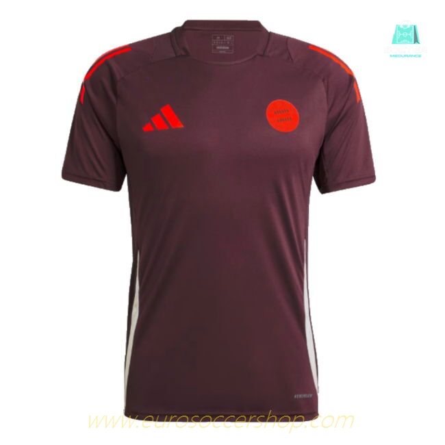 2024-2025 Bayern Munich Training Tee (Shadow Maroon) (Kane 9)
