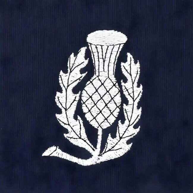 Football Shirt - Premium Quality - Eredivisie - High Performance