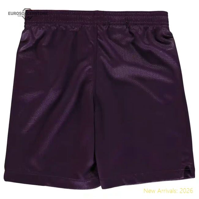 Authentic 2018-2019 Man City Third Nike Football Shorts (kids)