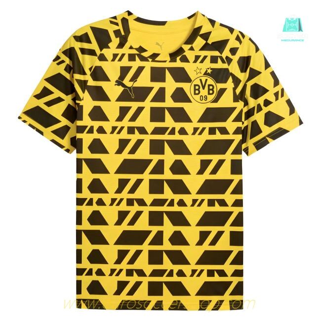 2025-2026 Borussia Dortmund Warm Up Jersey (Yellow)